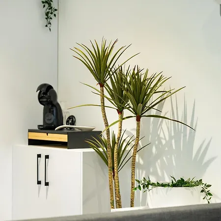 Jpl Blue Horizon Residential - Casa Blue B & C Câmara de Lobos