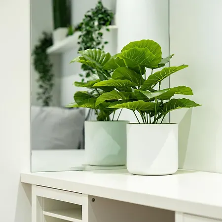 Jpl Blue Horizon Residential - Casa Blue B & C Ferienhaus *